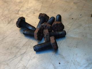 болт двигателя Renault Kangoo 1 поколение (1997 - 2003), 1.4 л., бензин