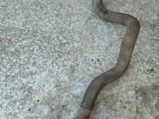 патрубок радиатора Peugeot Partner 1 поколение (M59) [рестайлинг] 2006, 1.9 л., дизель