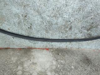 уплотнитель Citroen Berlingo 1 поколение (M59) [рестайлинг] 2006, 4622267