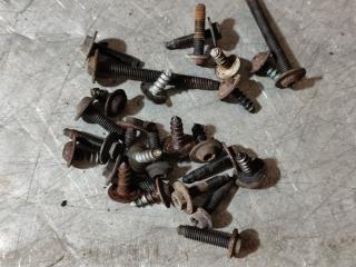 болт радиатора Skoda Roomster 1 поколение (2006 - 2010)