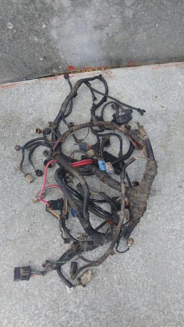 проводка двигателя Dodge Caravan 4 поколение (2000 - 2007), 2.8 л., дизель, МКПП, P04868769AB, TBWP0824AA109 - фото №1