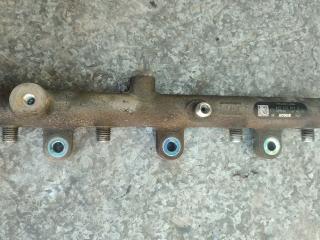 топливная рампа Peugeot 307 1 поколение 2005, 2.0 л., дизель, 0445214019