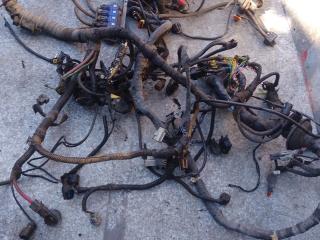 проводка двигателя Dodge Caravan 4 поколение (2000 - 2007), 2.4 л., бензин, BWP0711EK042, 17778E