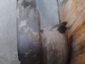 защита арок передняя левая (подкрылок) Dodge Caravan 4 поколение (2000 - 2007), 04857514AA, 04857429AD - фото №4