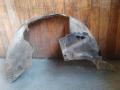 защита арок передняя левая (подкрылок) Dodge Caravan 4 поколение (2000 - 2007), 04857514AA, 04857429AD - фото №2