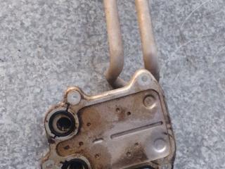 радиатор масляный Volkswagen Golf Plus 1 поколение (2005 - 2009), 1.6 л., бензин, 03C117021E