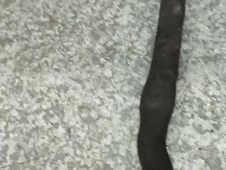 патрубок маслоотделителя Mercedes-Benz A-Класс W169 (2004 - 2008), 2.0 л., дизель, A6400101382, 6400101382