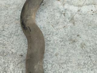 патрубок интеркулера Honda Civic 8 поколение (2005 - 2008), 2.0 л., дизель