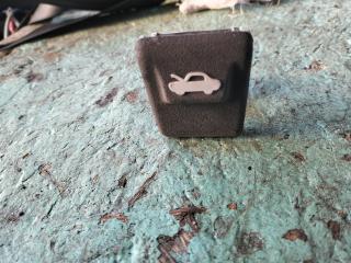 ручка открывания капота Hyundai Getz 1 поколение TB 2005, 1.3 л., G4EA, бензин, МКПП, хетчбэк 5 дв.