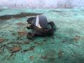 ручка наружная задняя левая Audi A6 4F/C6 2005, 2.4 л., BDW, бензин, вариатор, x1x1, седан - фото №3