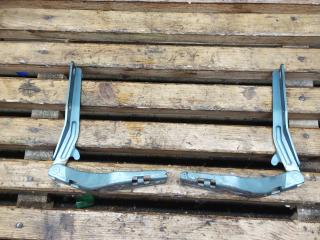 петля капота Peugeot 206 1 поколение 2000, 1.4 л., KFX (TU3JP), бензин, АКПП, хетчбэк 3 дв., 791257