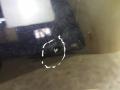 дверь задняя правая Volkswagen Tiguan 1 поколение 5N1 2008, 2.0 л., CBAB, дизель, МКПП, 2t2t, внедорожник 5 дв., 5N0833056A - фото №8