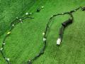 Проводка крышки багажника SsangYong Actyon 2 NEW 2 поколение SUV 2011, 2.0 л., D20DTF, дизель, АКПП, sai-silent silver, внедорожник 5 дв., полный привод, правый руль, 8275034010 - фото №15