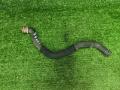 патрубок расширительного бачка Mercedes-Benz C-Класс W204/S204 W204.008 2008, 2.2 л., CDi, OM 646.811, дизель, АКПП, седан, задний привод, правый руль, A2045010982 - фото №6