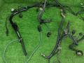 проводка двигателя Mercedes-Benz C-Класс W204/S204 W204.008 2008, 2.2 л., CDi, OM 646.811, дизель, АКПП, седан, задний привод, правый руль, A6461503456 - фото №2