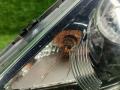 фара левая Kia Sportage 3 поколение 2013, 2.0 л., D4HA, дизель, МКПП, 1k-black pearl, внедорожник 5 дв., полный привод, правый руль, 921013U310 - фото №31