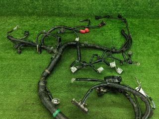 проводка двигателя Mitsubishi ASX 1 поколение GA1W 2010, 1.6 л., 4A92, бензин, МКПП, d17a, внедорожник 5 дв., передний привод, правый руль, 8541B504