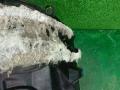 защита арок передняя левая (подкрылок) Mitsubishi ASX 1 поколение GA1W 2010, 1.6 л., 4A92, бензин, МКПП, d17a, внедорожник 5 дв., передний привод, правый руль, 5370A881 - фото №24