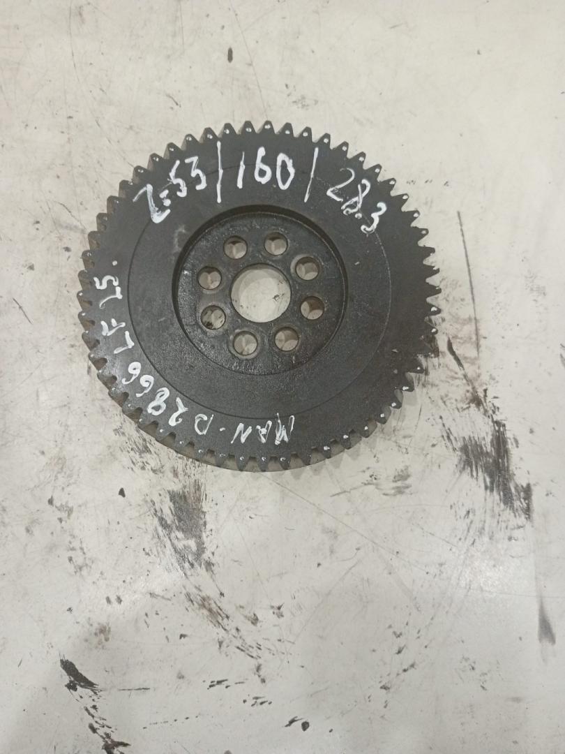 шестерня изменения фаз грм MAN, МКПП - фото №1