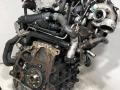 двигатель Volkswagen Passat B6 2008, 1.9 л., дизель, BLS - фото №4