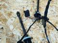 проводка отопителя (печки) BMW X5 E70 2007, 3.0 л., D, M57 D30 (306D3), дизель, АКПП, черный, внедорожник 5 дв., полный привод, правый руль, 6785649 - фото №2
