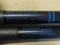 амортизатор капота BMW 3 серия F30/F31/F34 F30 2012, 2.0 л., N47 D20 C, дизель, МКПП, седан, задний привод, правый руль, 7255812, 51237255812, 51237239233, 7239233 - фото №3