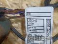 дверная проводка BMW X5 E70 [рестайлинг] E70 2011, 3.0 л., дизель, АКПП, черный, внедорожник 5 дв., полный привод, правый руль, 9243553, 61129243553 - фото №2
