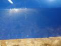 крышка багажника (дверь 3-5) BMW X2 F39 2018, 2.0 л., дизель, АКПП, misano-blau metallic, внедорожник 5 дв., полный привод, правый руль, 41007423832, 7423832, 51137467656, 7467656, 51627423863, 7423863 - фото №19
