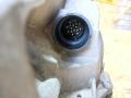 КПП автоматическая (АКПП) BMW 3 серия E92/E93 [рестайлинг] E92 2010, 2.0 л., дизель, АКПП, купе, правый руль, 7601244, 24007601244, 24007630967, 7630967, 6HP19 - фото №5