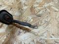плюсовой провод аккумулятора BMW 3 серия F30/F31/F34 F30 2012, 2.0 л., N47 D20 C, дизель, АКПП, седан, задний привод, правый руль, 9259326, 61129259326, 61129308292, 9308292 - фото №3