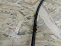 трос капота BMW X5 E70 2008, 3.0 л., дизель, АКПП, серый, внедорожник 5 дв., полный привод, правый руль, 71647981197, 7981197, 7164798, 51237164798 - фото №3