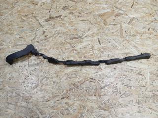 уплотнитель BMW X5 E70 2007, 3.0 л., D, M57 D30 (306D3), дизель, АКПП, черный, внедорожник 5 дв., полный привод, правый руль, 7175143, 51657175143