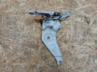 петля капота правая BMW X5 E70 [рестайлинг] E70 2011, 3.0 л., дизель, АКПП, черный, внедорожник 5 дв., полный привод, правый руль, 7208628