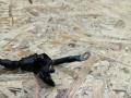 проводка вентилятора кондиционера BMW 3 серия F30/F31/F34 F30 2014, 2.0 л., дизель, АКПП, черный, седан, полный привод, правый руль, 6900536, 61136900536 - фото №3