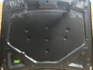 шумоизоляция капота BMW X5 E70 2007, 3.0 л., M57 306 D3, дизель, АКПП, черный, внедорожник 5 дв., полный привод, правый руль, 51487158420, 7158420