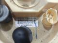 датчик уровня топлива BMW X5 E70 2007, 3.0 л., M57 306 D3, дизель, АКПП, черный, внедорожник 5 дв., полный привод, правый руль, 7164316, 16117195473, 7195473, 16117494926, 7494926 - фото №6