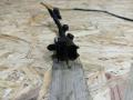 проводка BMW X5 E70 2007, 3.0 л., M57 306 D3, дизель, АКПП, черный, внедорожник 5 дв., полный привод, правый руль, 9129003, 61129129003, 61129206338, 9206338 - фото №3