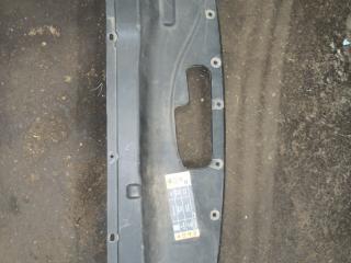 подкапотный пластик Ford Edge 2 поколение CD539 2015, 2.0 л., бензин, АКПП, серебристый, внедорожник 5 дв.