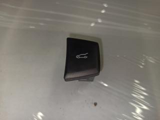 кнопка открытия багажника Ford Edge 2 поколение CD539 2015, 2.0 л., бензин, АКПП, серебристый, внедорожник 5 дв.