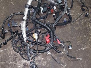 проводка двигателя Ford Edge 2 поколение CD539 2017, 2.0 л., бензин, АКПП