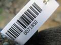 балка подвески задняя Volkswagen Fox 2 поколение 2007, 1.2 л., i, бензин, МКПП, хетчбэк 5 дв. - фото №8