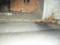 дверь задняя распашная левая Ford Transit Connect 1 поколение 2005, 1.8 л., TD, дизель, МКПП, фургон - фото №9