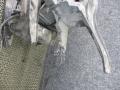 передняя панель крепления облицовки (телевизор) Volkswagen Golf 4 поколение 2004, 1.9 л., TDi, дизель, хетчбэк 5 дв. - фото №3