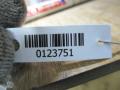 крышка багажника (дверь 3-5) Fiat Punto 2 поколение [рестайлинг] 2004, 1.9 л., JTD, дизель, МКПП, хетчбэк 5 дв. - фото №4