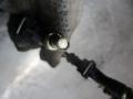 форсунка Opel Zafira 2 поколение (B) 2005, 1.8 л., робот, минивэн, 55353806 - фото №3