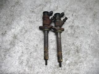 форсунка Peugeot 407 1 поколение 2006, 1.6 л., 0445110297