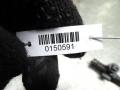 форсунка Volkswagen Touran 1 поколение 2004, 2.0 л., 03G130073B - фото №5