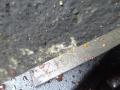 блок цилиндров Opel Astra H 2006, 1.6 л., Z16XEP - фото №4