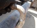 прицепное устройство (фаркоп) Volkswagen Transporter T4 1994, 1.9 л., МКПП, микроавтобус - фото №5