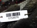 переключатель подрулевой (стрекоза) Renault Grand Scenic 2 поколение 2006, 2.0 л., МКПП, минивэн, 8200127727 - фото №12